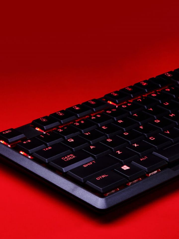 脳で駆けろ！知を遊べ！Play or Watch？ モバイル表示バナー